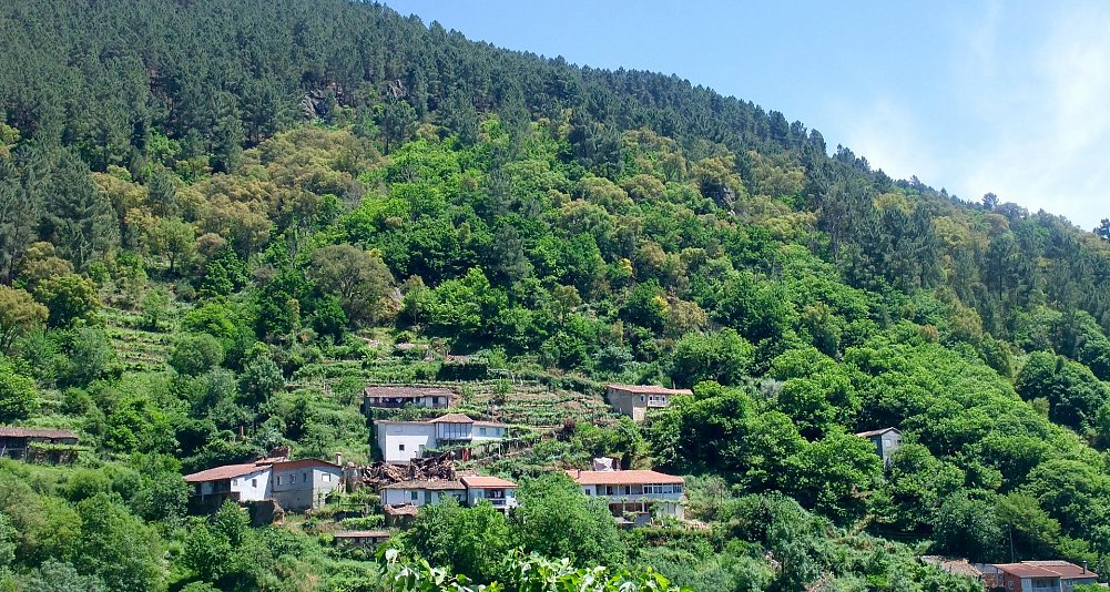 Tren turístico por el Cañón del Sil