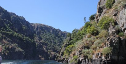 Tren turístico por el Cañón del Sil