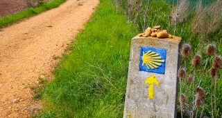 Últimos 100 Km del Camino de Santiago Portugués a pie en Albergue.
