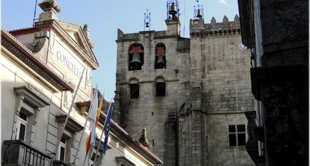 Visita guiada al Castro de Santa Tecla y Museo