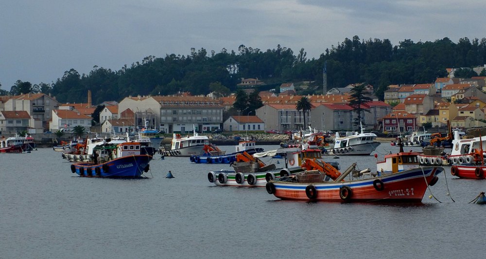 Visita guiada al Castro de Santa Tecla y Museo