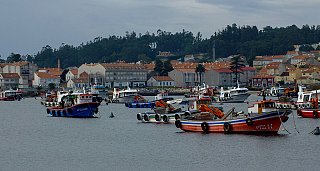 Visita guiada al Castro de Santa Tecla y Museo